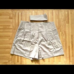 Theory Short Pants